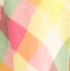 Sweet Tart Skirt